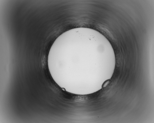 X0000096210077200802151510