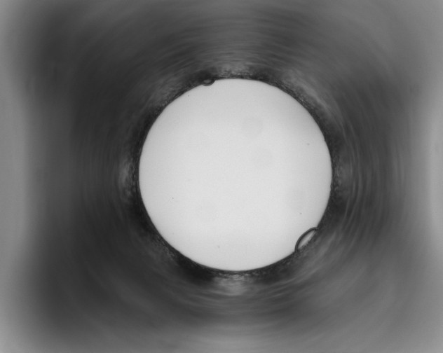 X0000096210079200802151510