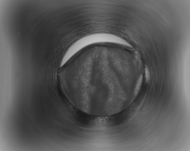 X0000096210080200802151510