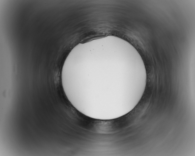 X0000096210081200802151510
