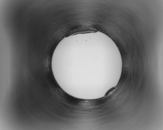 X0000096210082200802151510