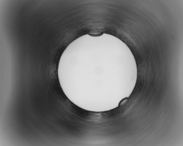 X0000096210083200802151510