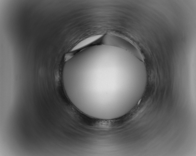 X0000096210084200802151510