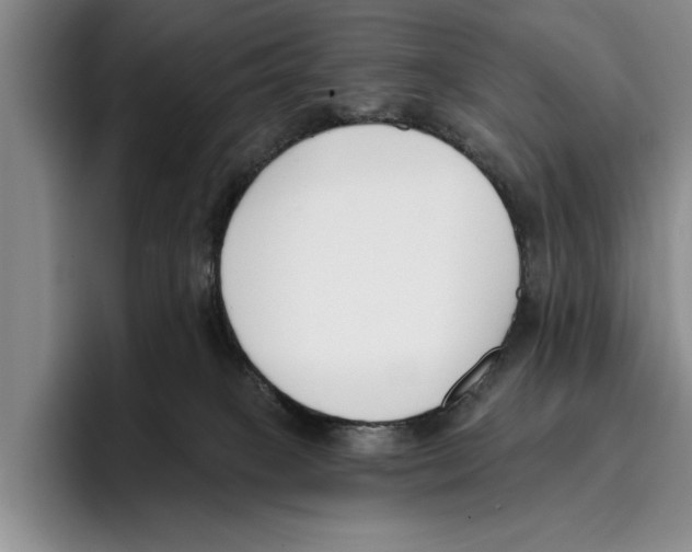 X0000096210085200802151510