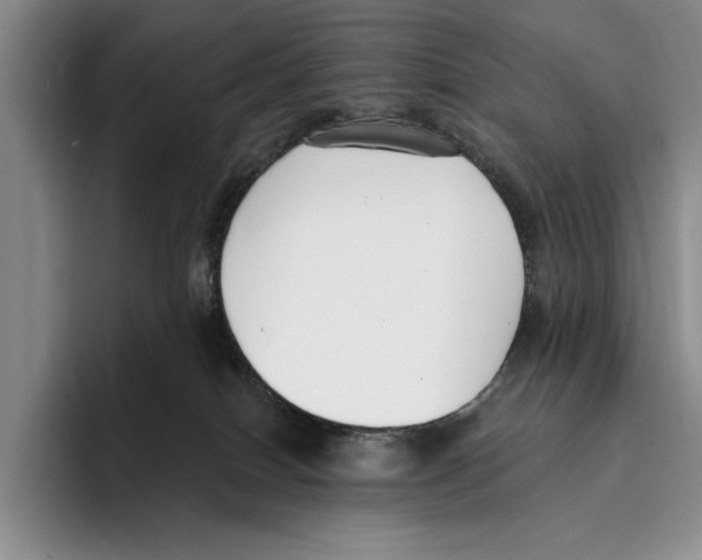 X0000096210086200802151510