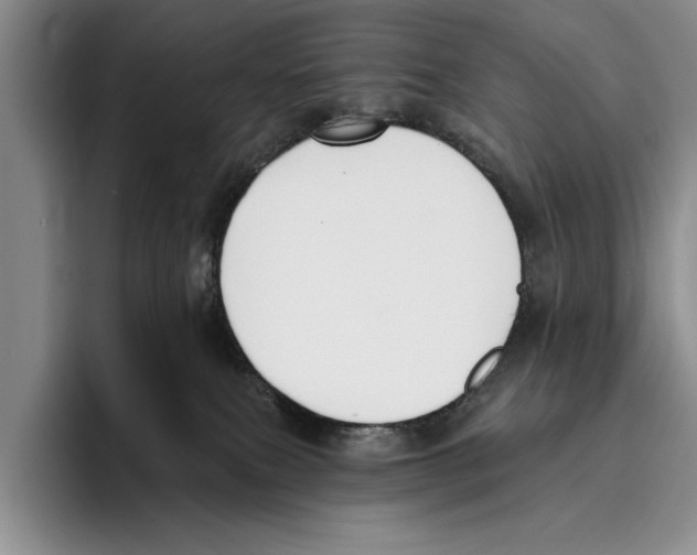 X0000096210087200802151510