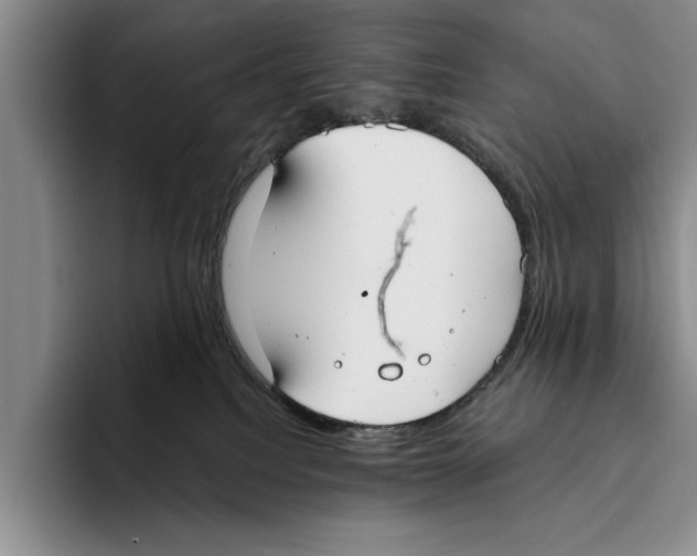 X0000096210088200802151510