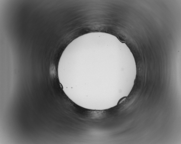 X0000096210089200802151511