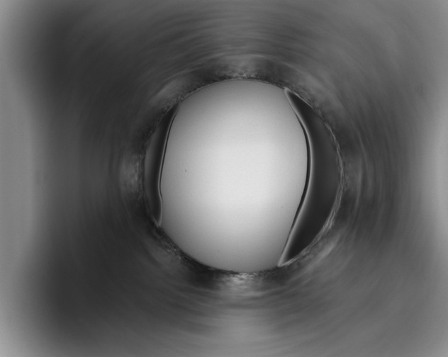 X0000096210092200802151511