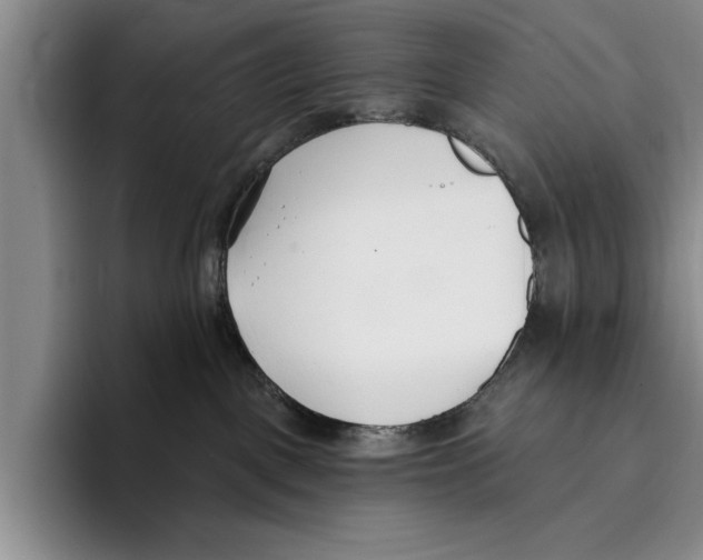 X0000096210093200802151511