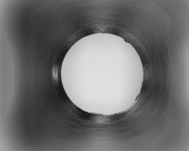 X0000096210094200802151511