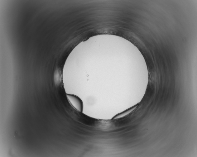 X0000096210095200802151511
