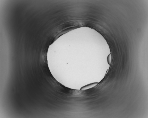 X0000096210096200802151511