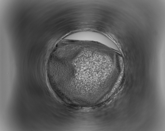 X0000096210097200802151510