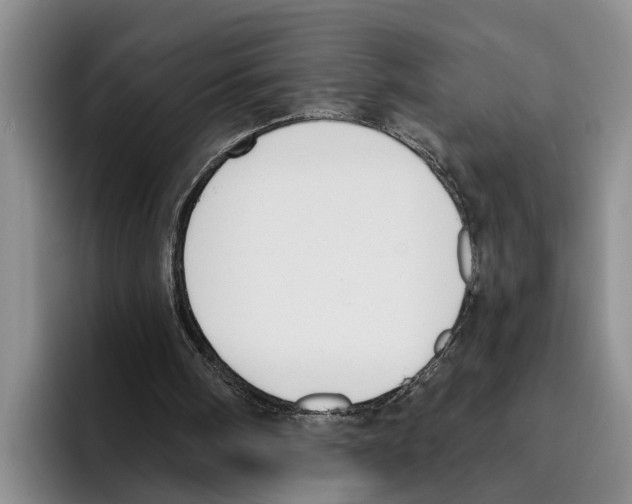 X0000096210098200802151510