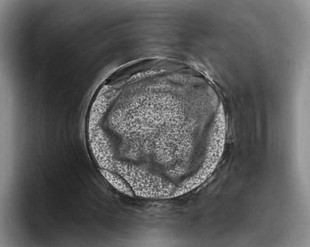 X0000096210099200802151510