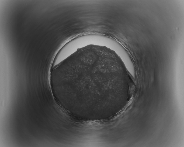 X0000096210100200802151510