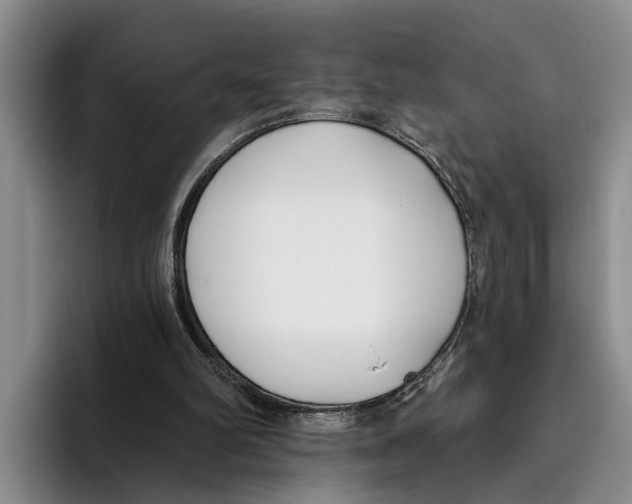 X0000096210102200802151510