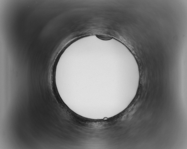 X0000096210103200802151510