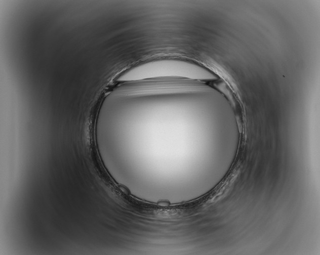 X0000096210105200802151510