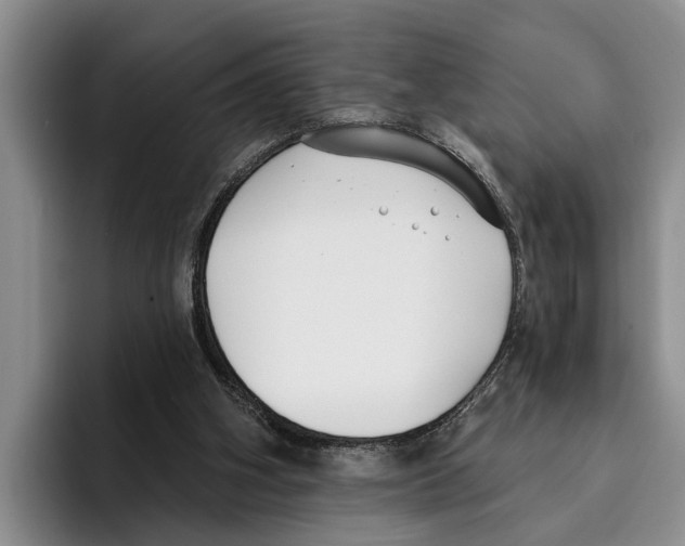 X0000096210106200802151510