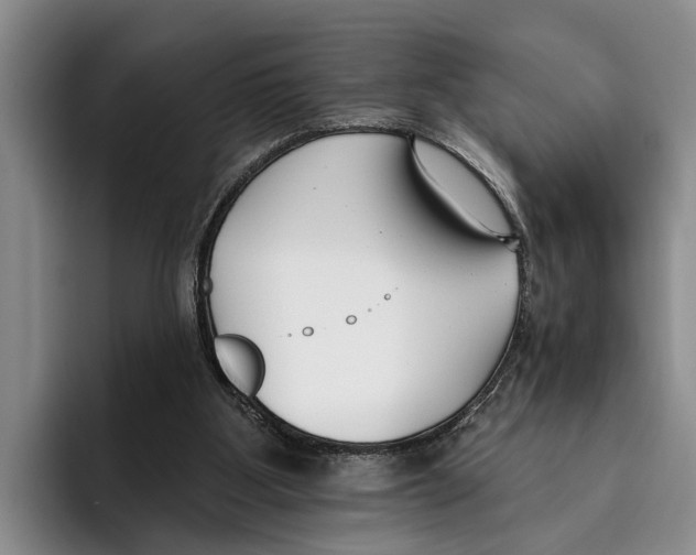 X0000096210107200802151510