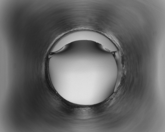 X0000096210108200802151510