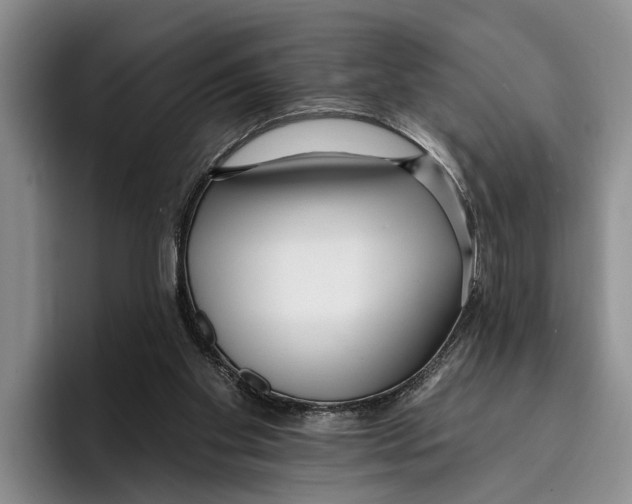 X0000096210109200802151510