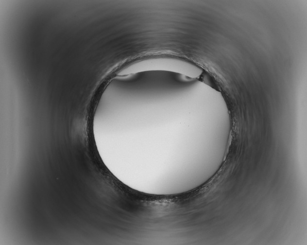 X0000096210112200802151510