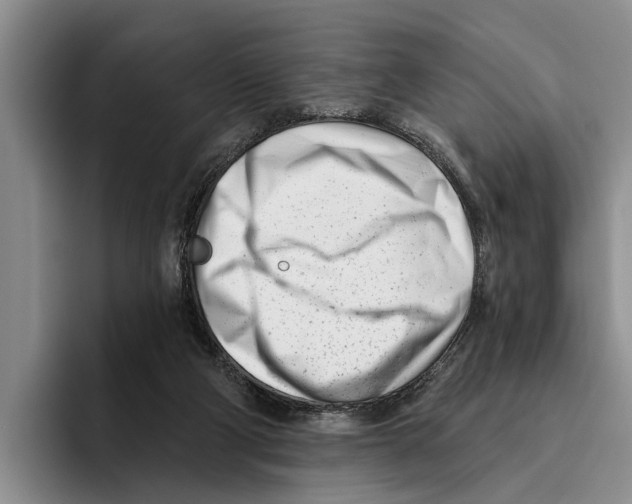 X0000096210114200802151510