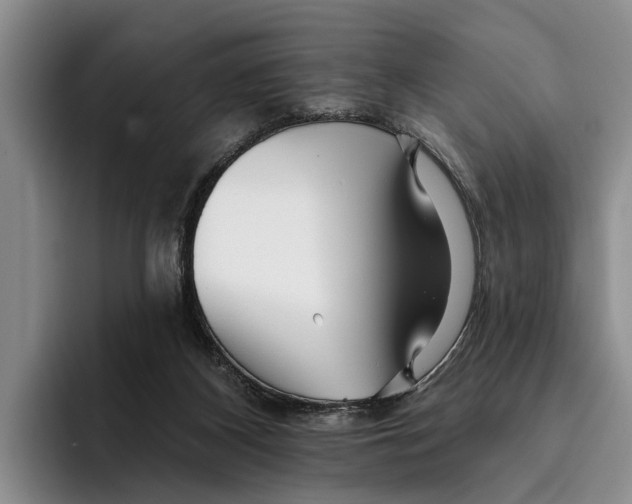 X0000096210116200802151510