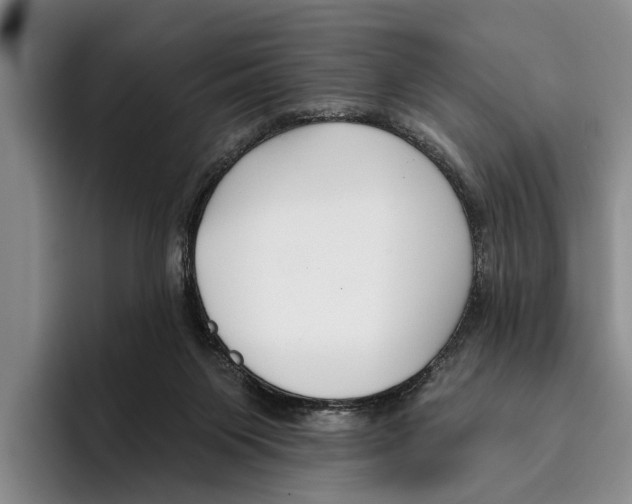 X0000096210119200802151510