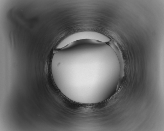 X0000096210120200802151510