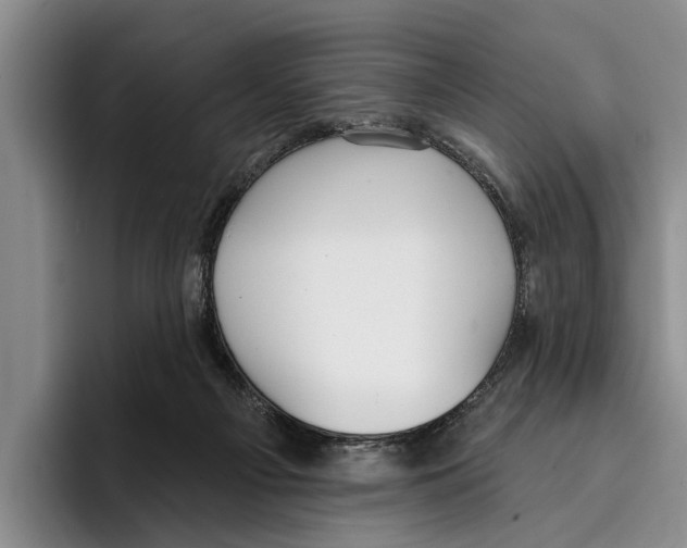 X0000096210121200802151510