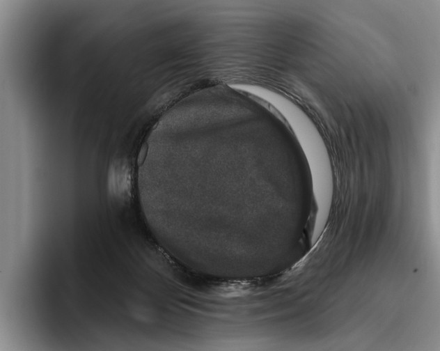 X0000096210124200802151510