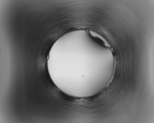 X0000096210125200802151510