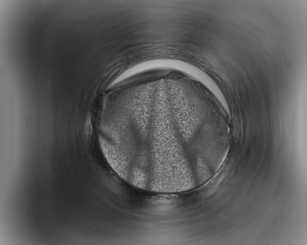 X0000096210128200802151510