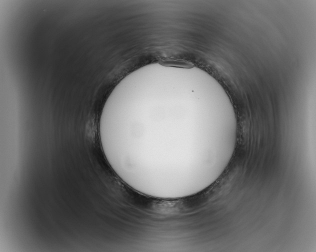 X0000096210129200802151510