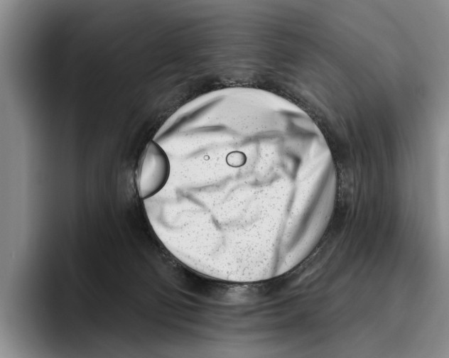 X0000096210130200802151510