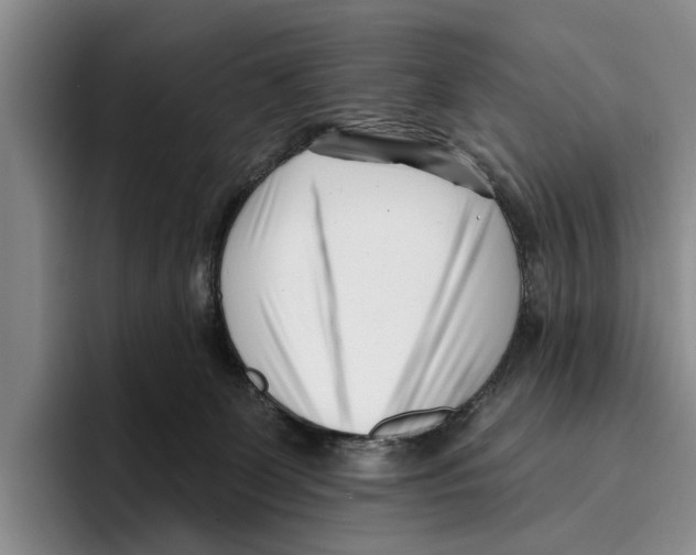 X0000096210131200802151510