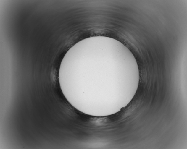 X0000096210135200802151509