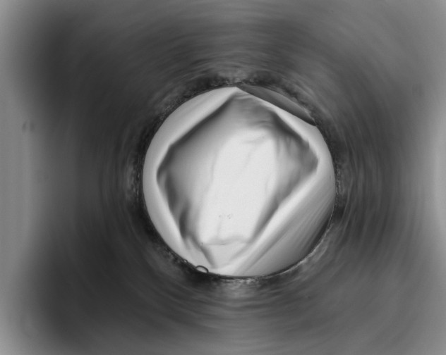 X0000096210136200802151509