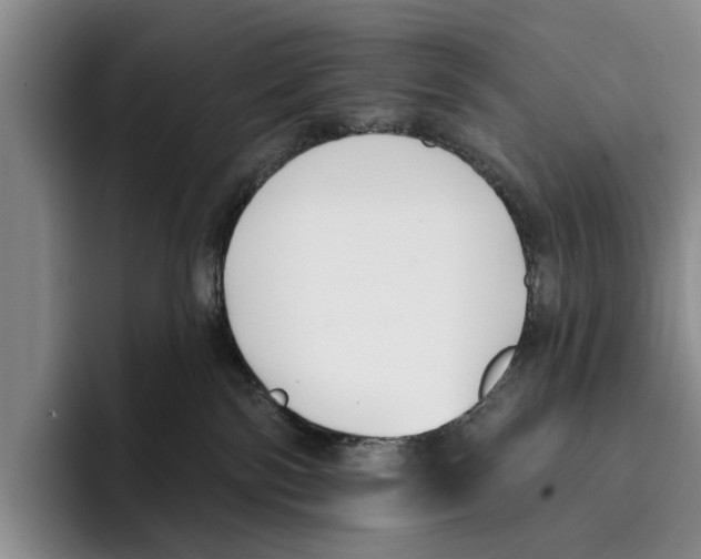 X0000096210138200802151509