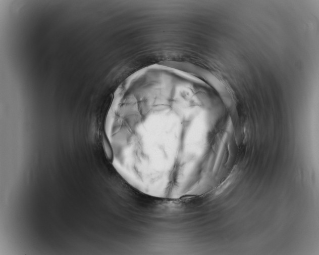 X0000096210140200802151509