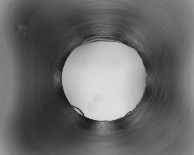 X0000096210141200802151509