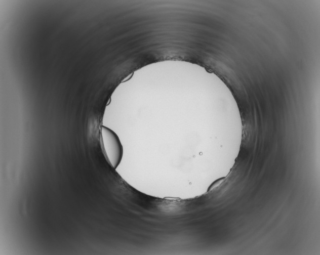 X0000096210142200802151509