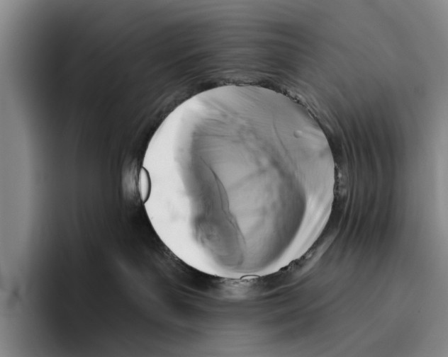 X0000096210143200802151509