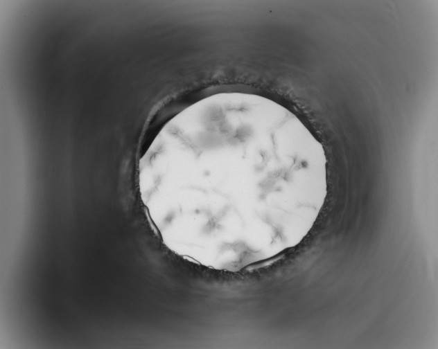 X0000096210144200802151509