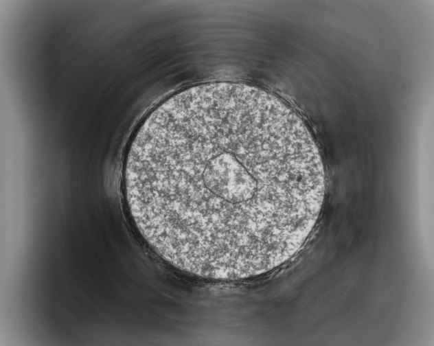 X0000096210146200802151509