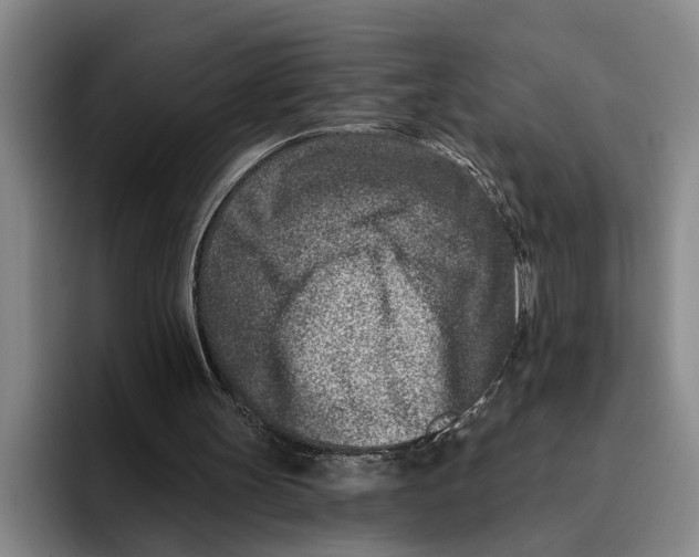 X0000096210147200802151509